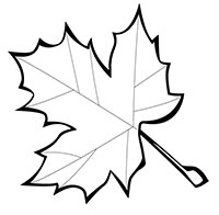 �������� ����