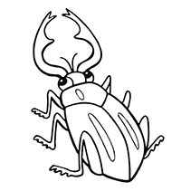 ���-����� (Lucanus)