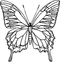 ������