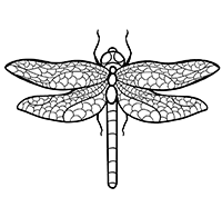 �������� (���. Odonata)S