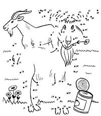����