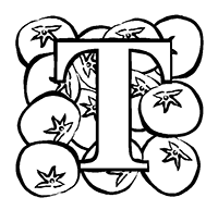 � - ������