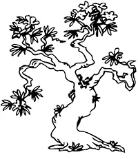 Раскраска Икебана