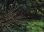 � ������ ����. 1870-�