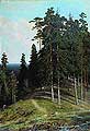 ��� � ����. 1895