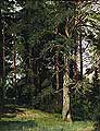 ���. 1880