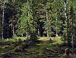 ���. 1880-�