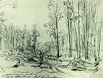 ������ �������. 1870-�