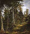 ������ ����. 1867