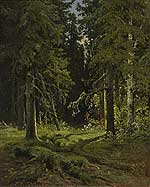 ������ ������. 1878