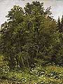 �� ������. 1885