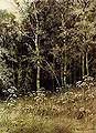 ����� � ����. 1877