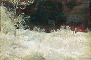 Кликните для увеличения Шишкин И. И. Зима. Подмосковье. Этюд