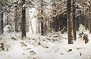 Кликните для увеличения Шишкин И. И. Зима 1890