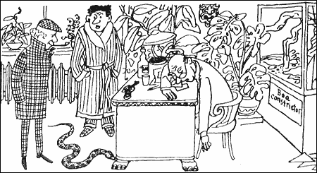 Змея в доме