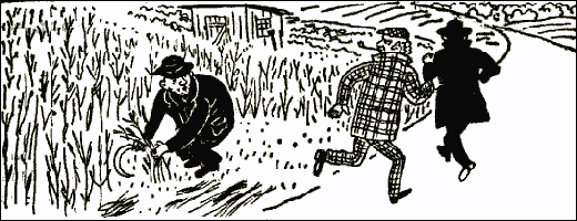 Приключения инспектора Варнике. Жнец