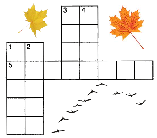 Времена года. Осень