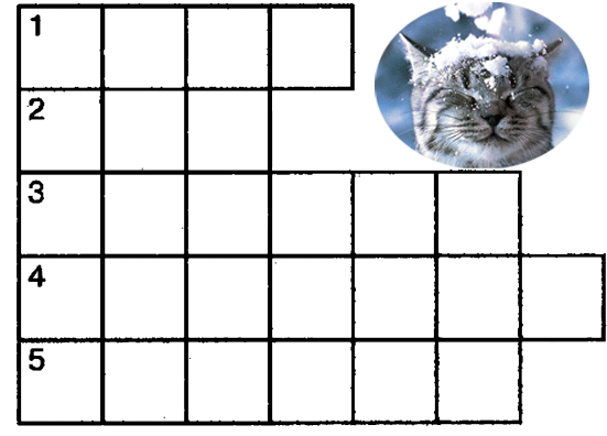 Поэтическая зима