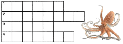 Морские обитатели