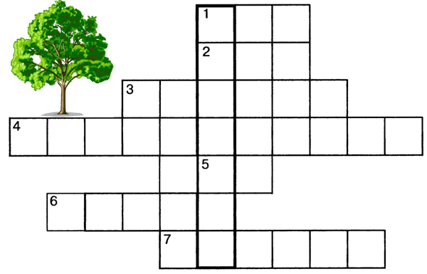 Зеленые друзья