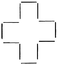 �����, ���������� �� 12 ������