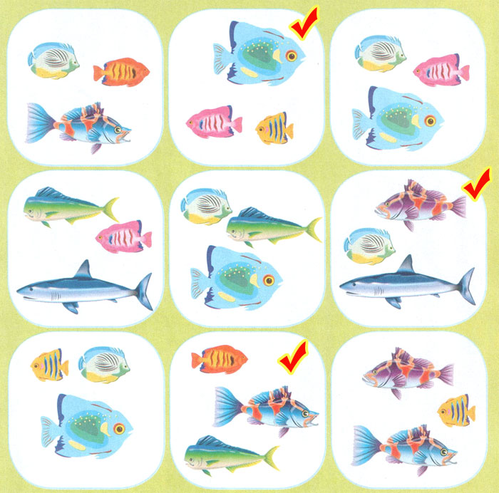 ������ 9 ������ �����