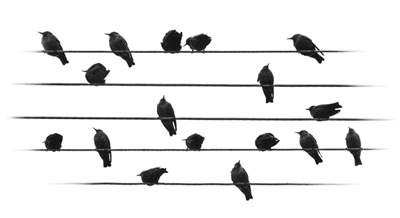 �����-������