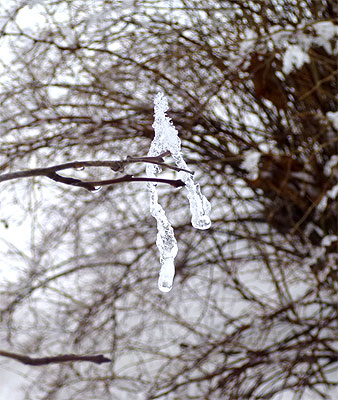 �������-�����