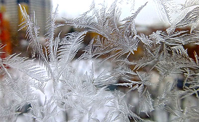 ������� ����� �� ������� ������