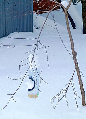 �������� �� �������