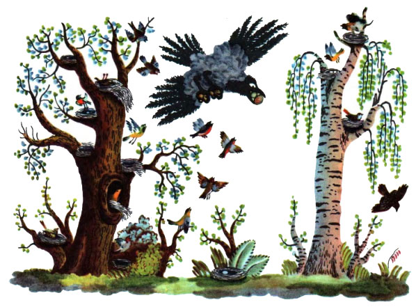 ��������� ��� ������ � �� ���������� ���� �������, � ��� ����� �������!