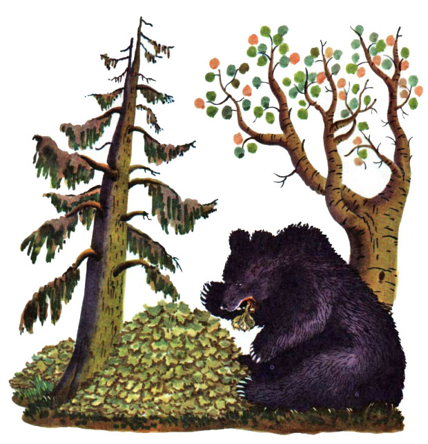 � ������� ����� � ��� ����� �������