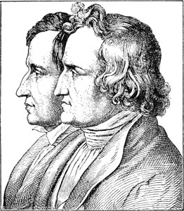 ������ �����