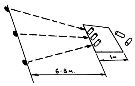 ���� ��������