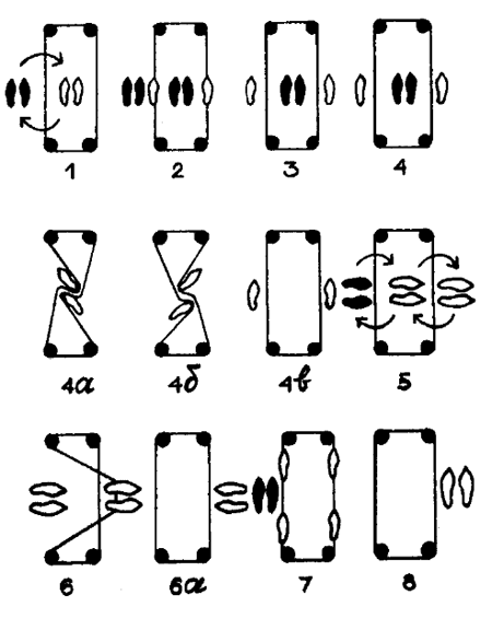 ���� � �������. �������� �����