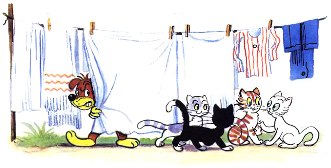 ����������� ����. ����, ��� ����?