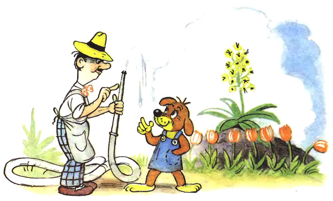 ����������� ����.���-��������: ��� ��� �����?