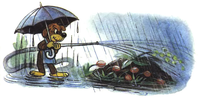 ����������� ����. ���-��������: ��� ��� �����?