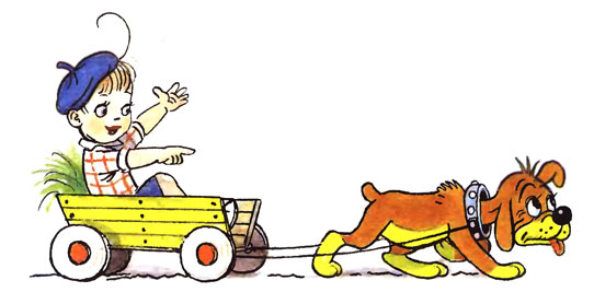 ����������� ����. ��������� ����