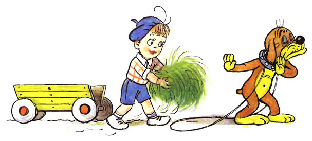 ����������� ����. ��������� ����