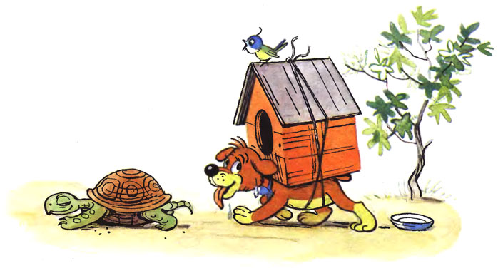 ����������� ����. ����� �� ��������