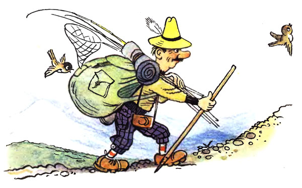 ����������� ����. ��� ������ �������