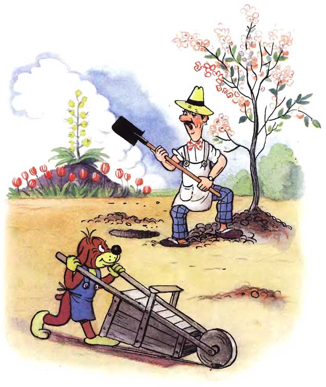 ����������� ����. ����� ����