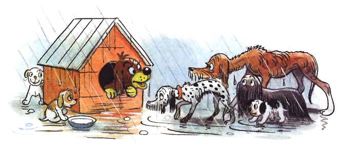 ����������� ����. ������ ��������������