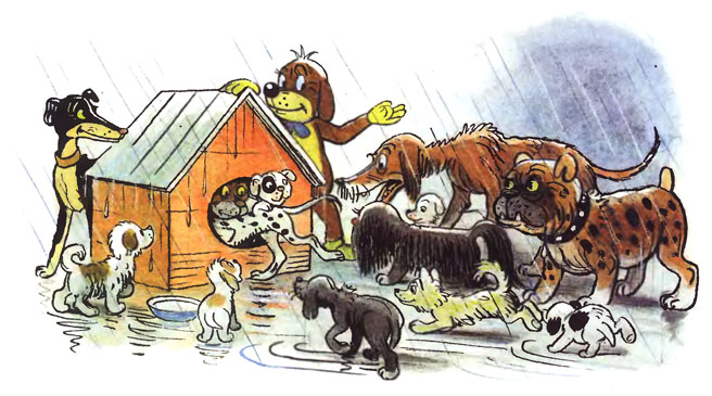 ����������� ����. ������ ��������������