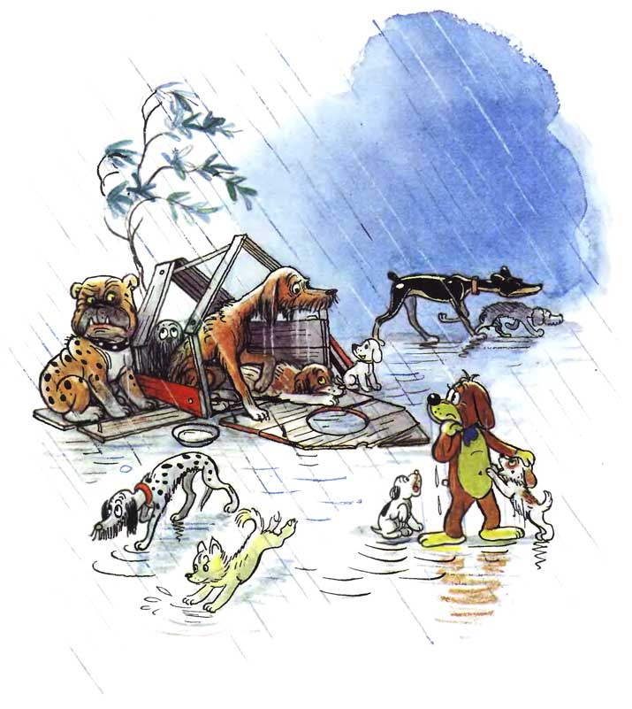 ����������� ����. ������ ��������������