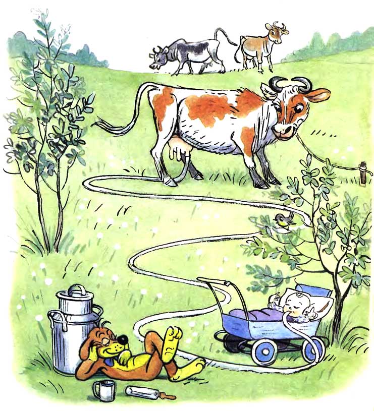 ����������� ����. ������� ��������