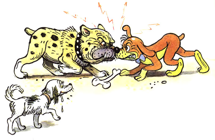 ����������� ����. ������� ��������