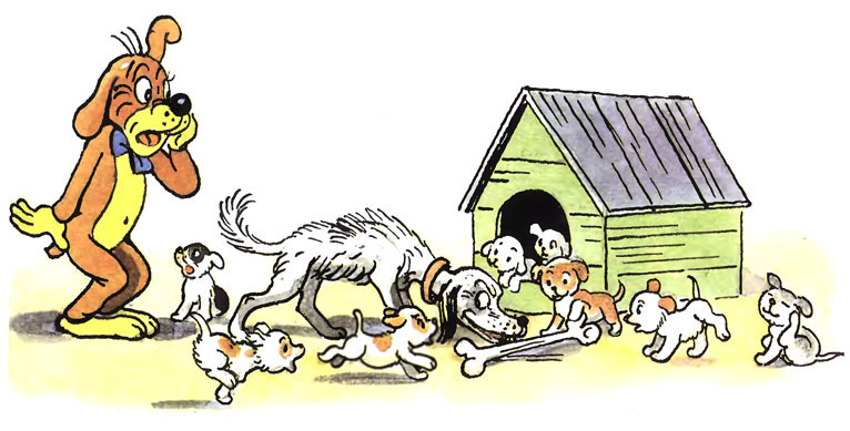 ����������� ����. ������� ��������