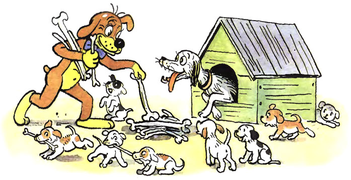 ����������� ����. ������� ��������